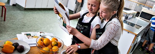 MADBOGEN 2016 er nu online!