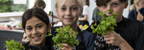Madskoler i sommerferien 2021